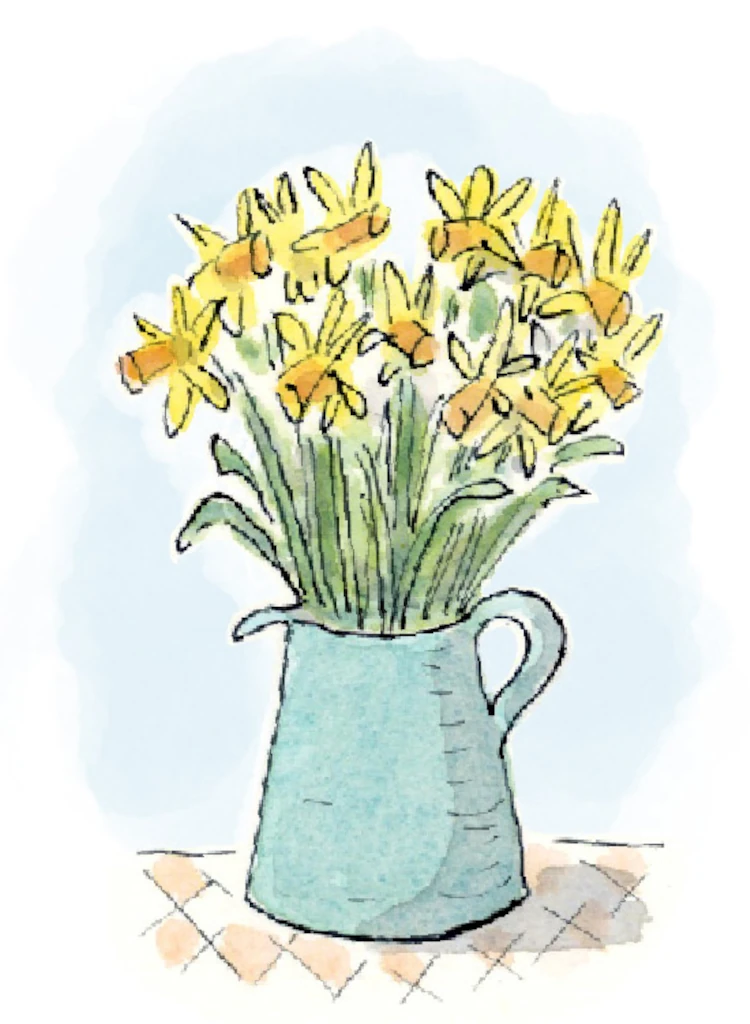 Soft daffodil design reflecting the nurturing counselling environment